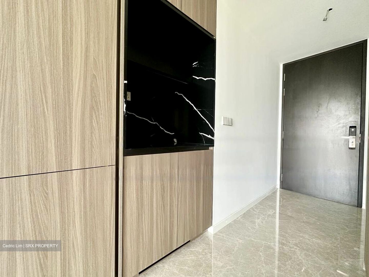 Irwell Hill Residences (D9), Apartment #455496771